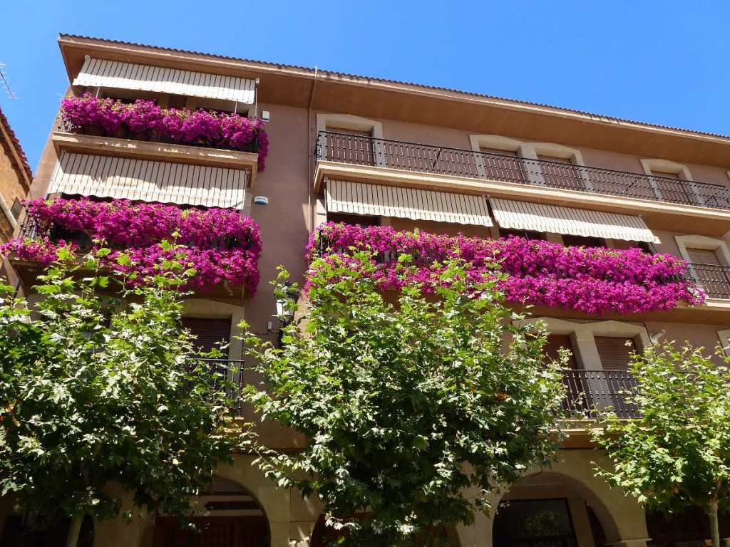 balcones con petunias en Plaza Mayor de Soria