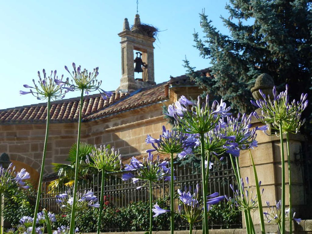 Flora Paseo del Espolon en Soria y ermita de La Soledad