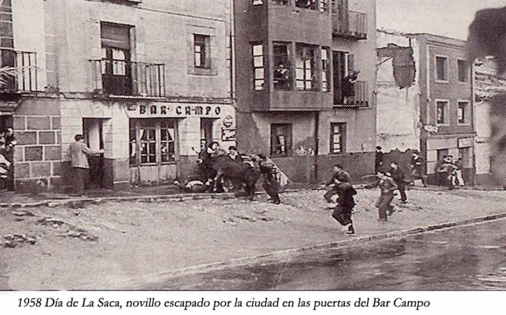 1958-novillo-sanjuanero-de-Soria-escapado-en-calle-Campo
