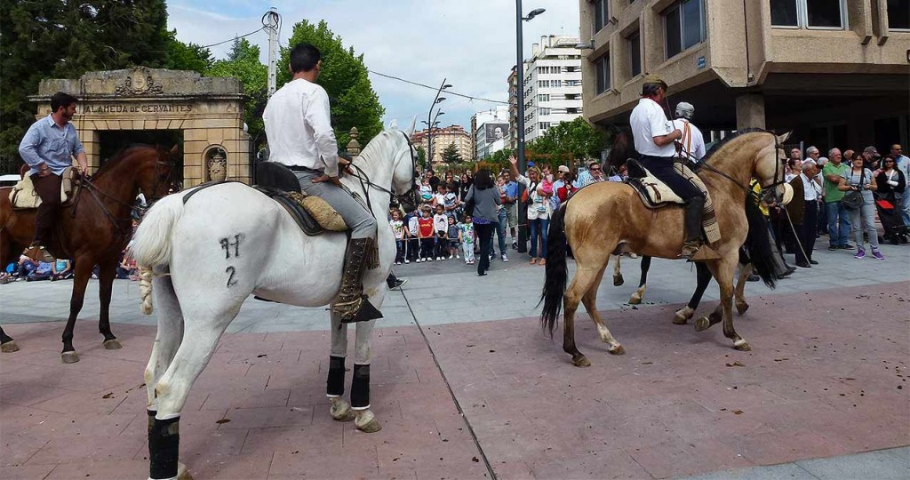 caballos-trashumantes-en-Soria-ciudad-2014