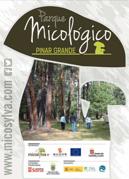 Parque micologico Pinar Grande portada folleto