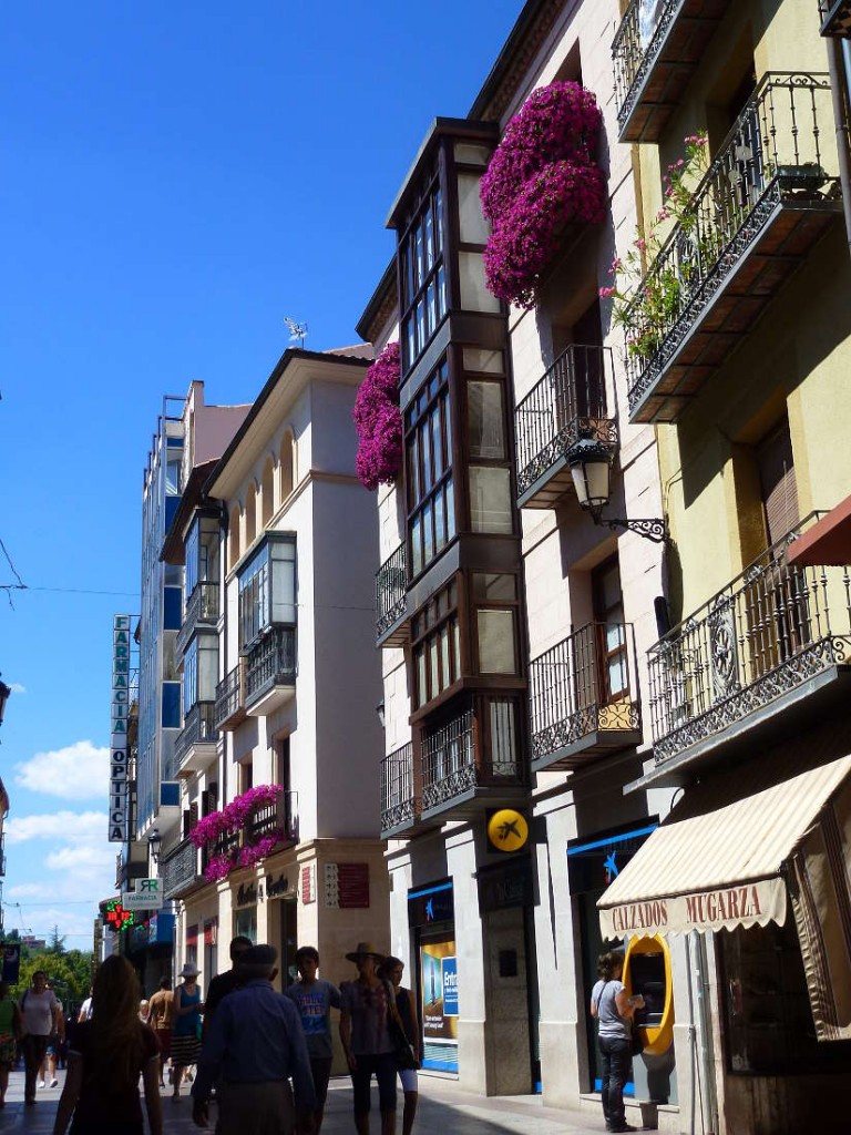 balcones con petunias en El Collado de Soria