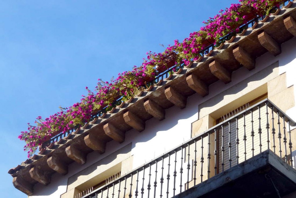 petunias en alero de tejado en Soria