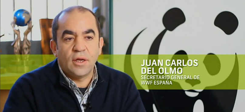 Juan Carlos del Olmo, WWF España