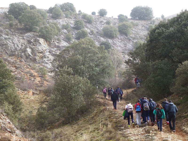 Escolares en geologia del Duero en Soria