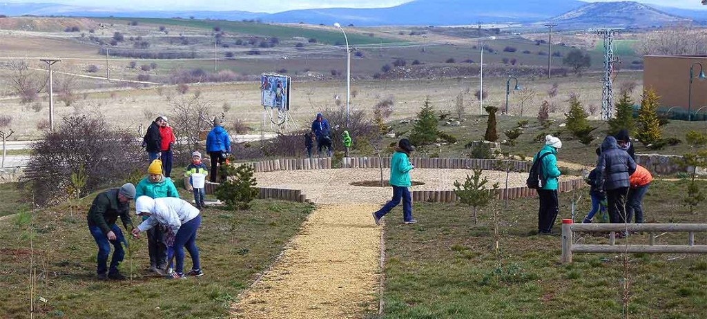 Plantando-arboles-Ambientalia-Bosque-Infantil-de-Soria-2b